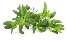 Load image into Gallery viewer, Hyssop
