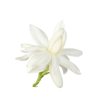 Load image into Gallery viewer, Fresh jasmine flower