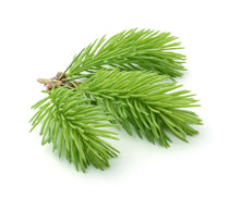 Load image into Gallery viewer, Fresh spruce needles